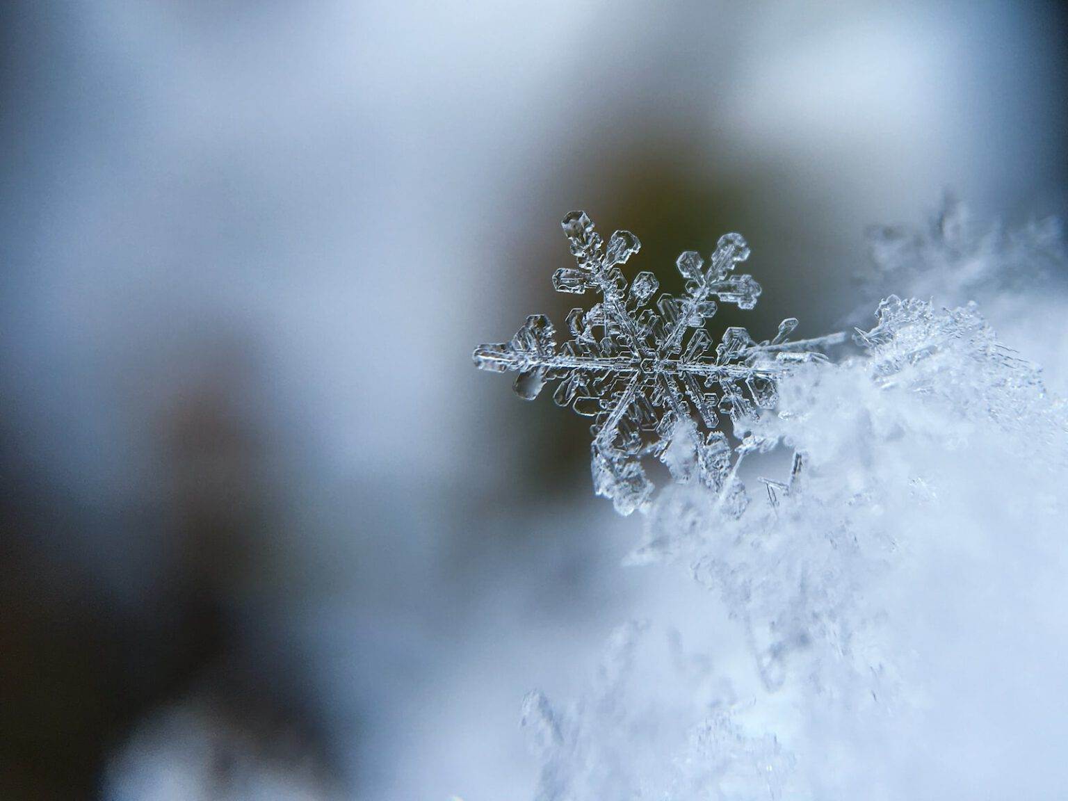 Nahaufnahme einer Schneeflocke auf einer Schneedecke