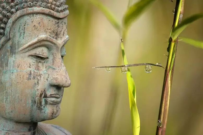 Buddha-Statue neben Bambus als Bild für Klarheit und Flexibilität